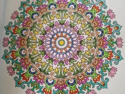 whatsapp bild 2023-07-13 um 12.43.41